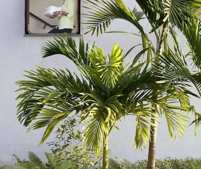 Novotel Goa Dona Sylvia Resort