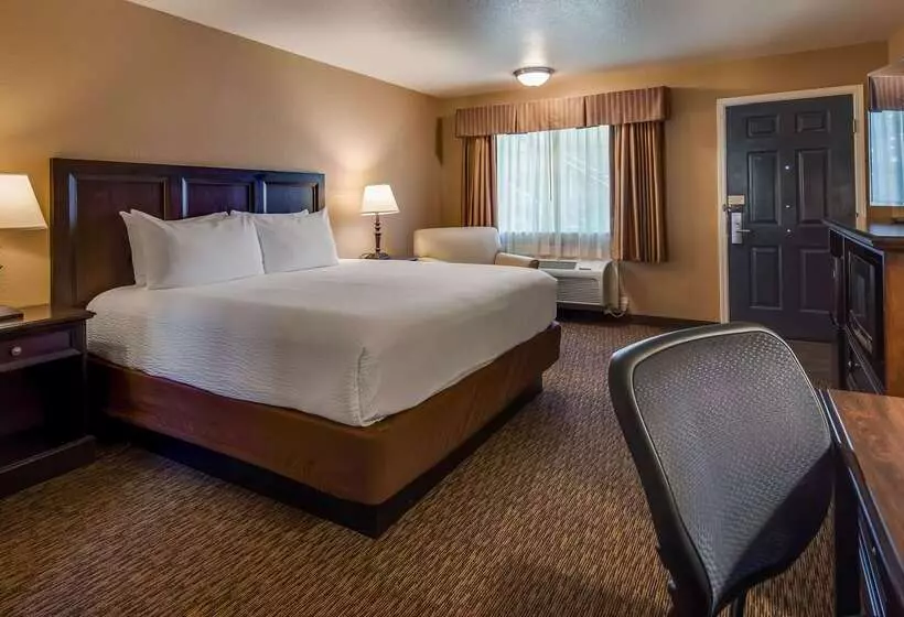 酒店 Best Western Country Inn