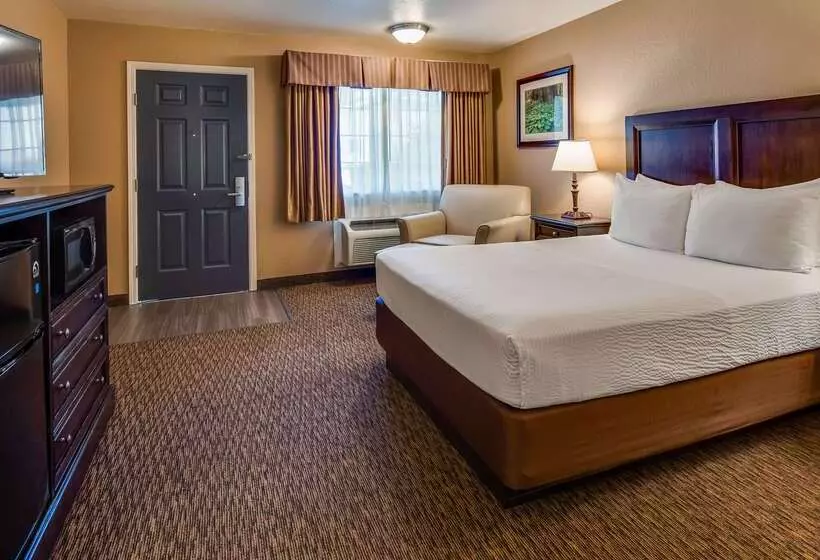 酒店 Best Western Country Inn