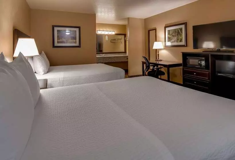 酒店 Best Western Country Inn