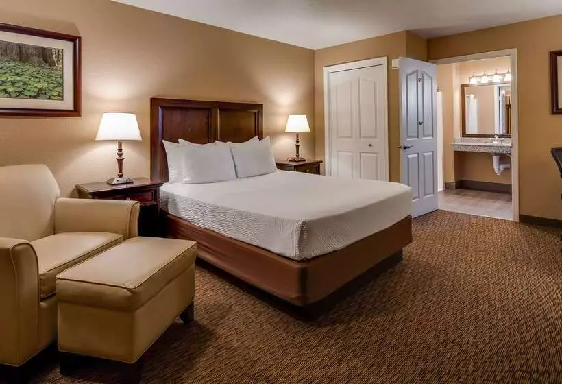 酒店 Best Western Country Inn