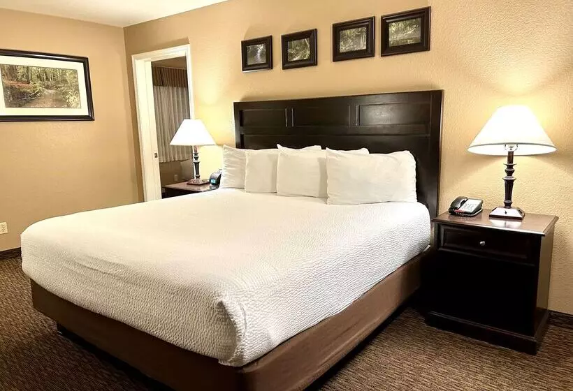 酒店 Best Western Country Inn