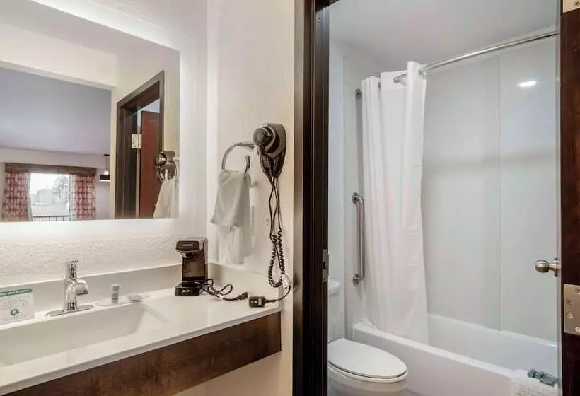 فندق Best Western Statesville Inn