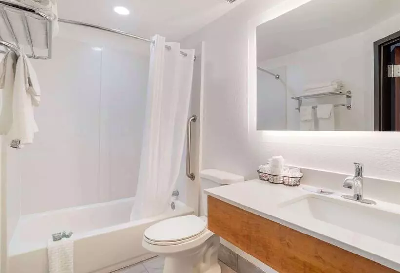 فندق Best Western Statesville Inn