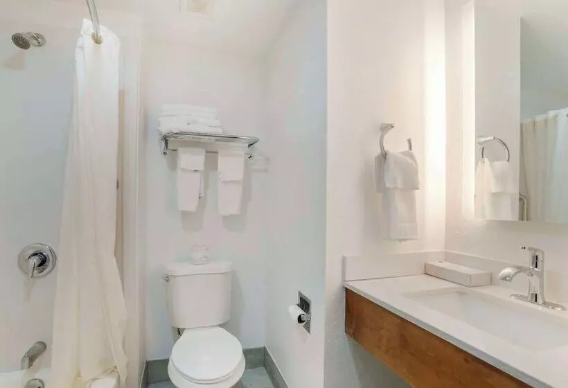 فندق Best Western Statesville Inn