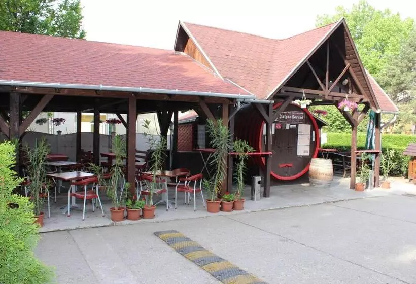 هتل Mátyás Király Gyógy és Wellness