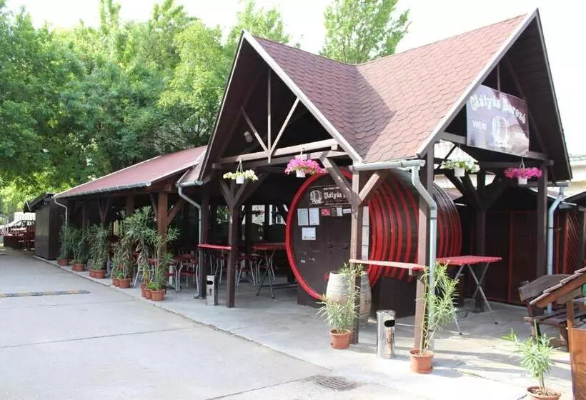 هتل Mátyás Király Gyógy és Wellness