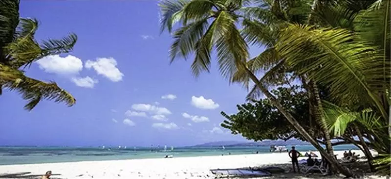 Grafton Beach Resort