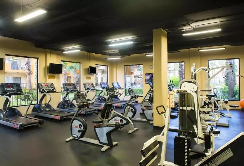 Villa Del Palmar Beach Resort & Spa