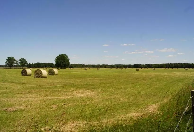 ホテル Gästezimmer Zum Krug Im Grünen Kranze