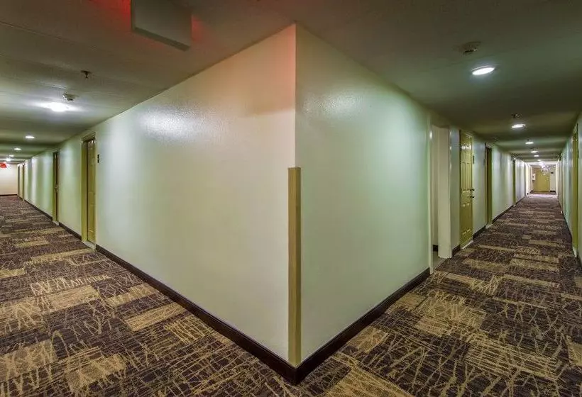 Отель The Ponce