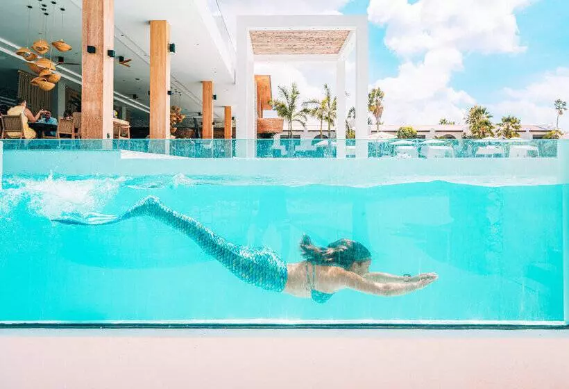 Van Der Valk Plaza Beach & Dive Resort Bonaire