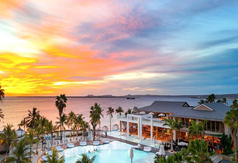 Van Der Valk Plaza Beach & Dive Resort Bonaire