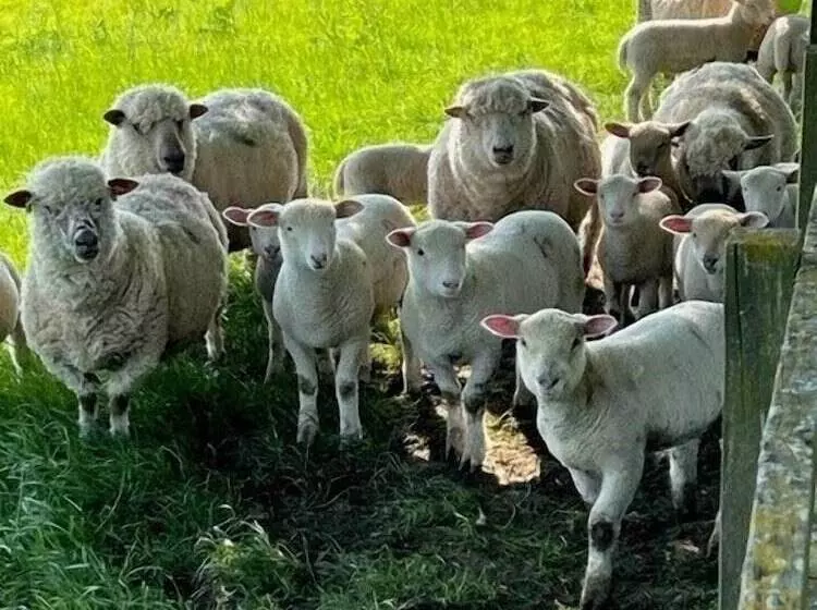 住宿加早餐  The Coppleridge Inn