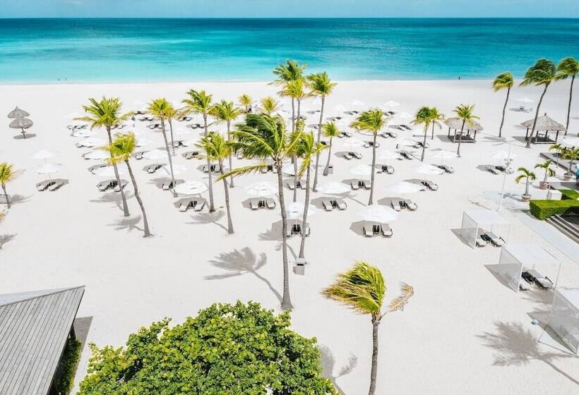 Bucuti & Tara Boutique Beach Resort Adult Only