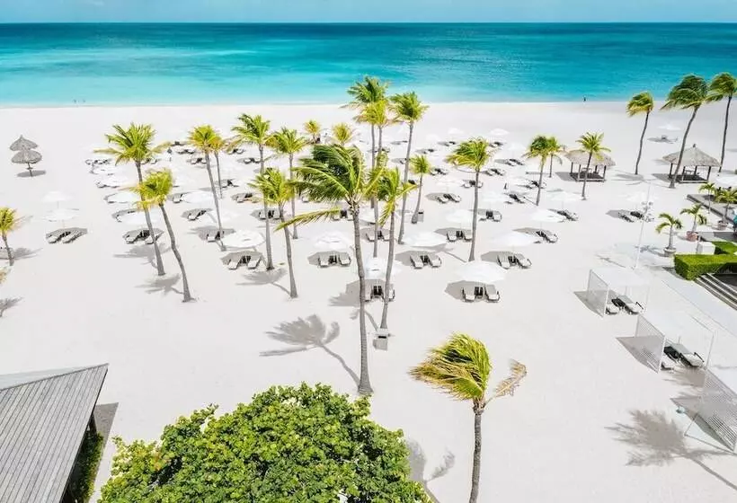 Bucuti & Tara Boutique Beach Resort Adult Only