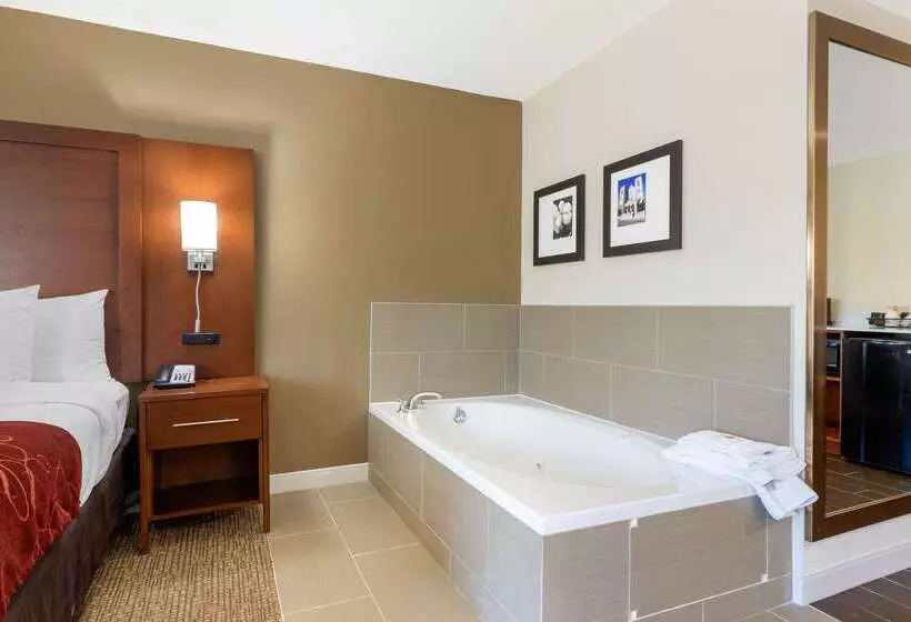 ホテル Comfort Inn & Suites Macon West
