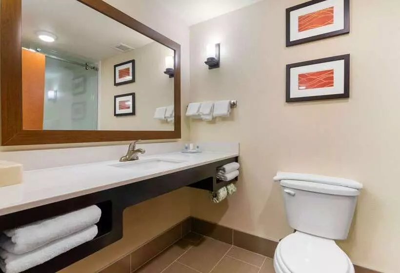 ホテル Comfort Inn & Suites Macon West