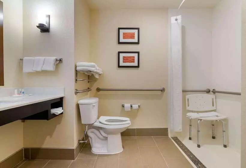 ホテル Comfort Inn & Suites Macon West
