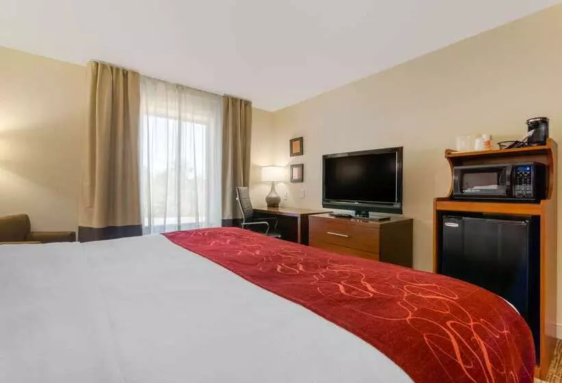ホテル Comfort Inn & Suites Macon West