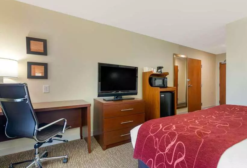 ホテル Comfort Inn & Suites Macon West