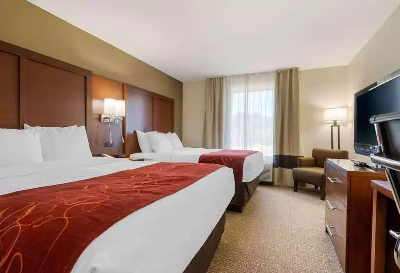 ホテル Comfort Inn & Suites Macon West