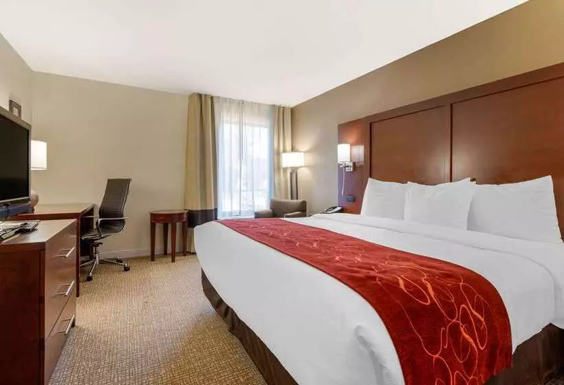 ホテル Comfort Inn & Suites Macon West