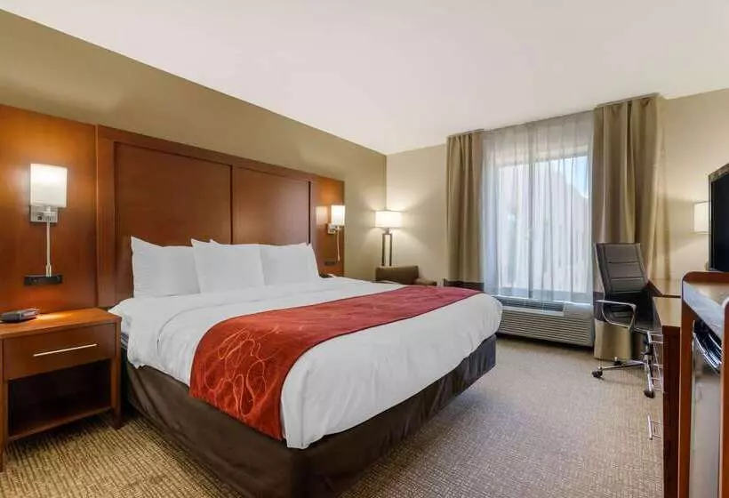ホテル Comfort Inn & Suites Macon West