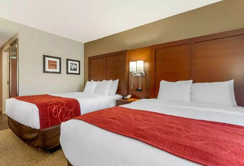 ホテル Comfort Inn & Suites Macon West