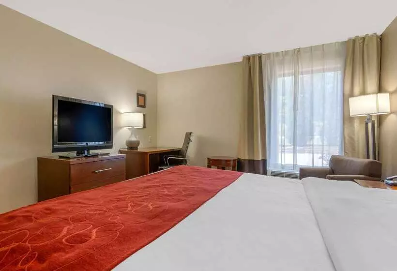 ホテル Comfort Inn & Suites Macon West