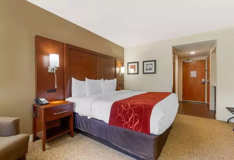ホテル Comfort Inn & Suites Macon West
