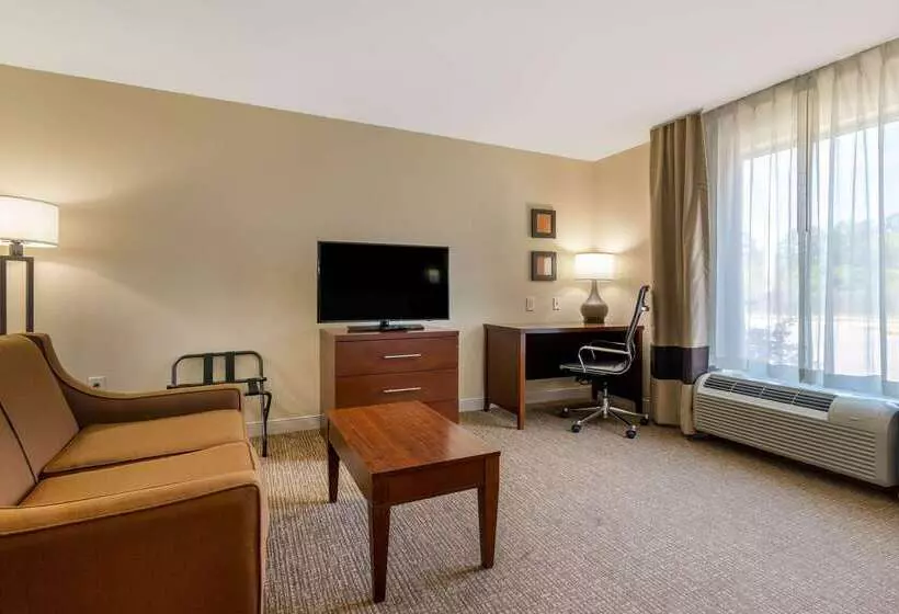 ホテル Comfort Inn & Suites Macon West