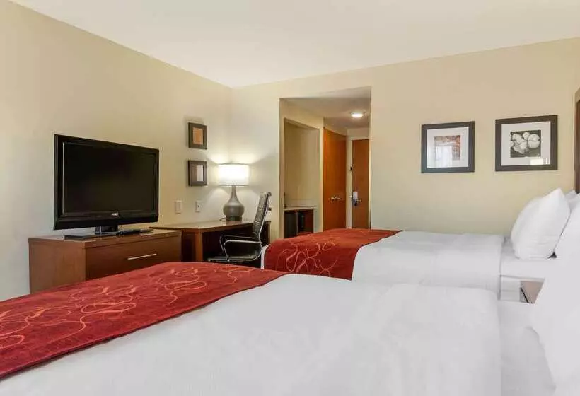 ホテル Comfort Inn & Suites Macon West