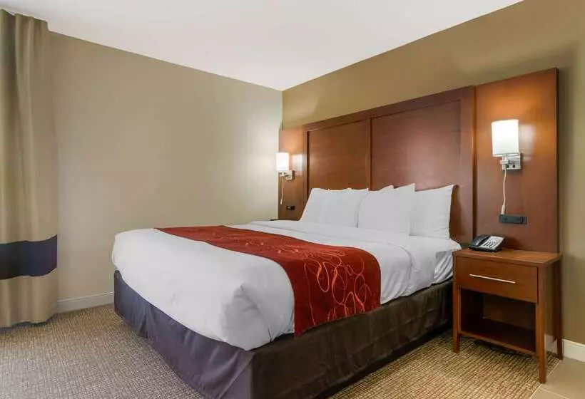 ホテル Comfort Inn & Suites Macon West