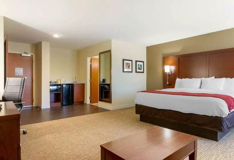 ホテル Comfort Inn & Suites Macon West