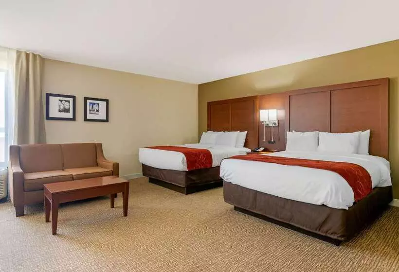 ホテル Comfort Inn & Suites Macon West