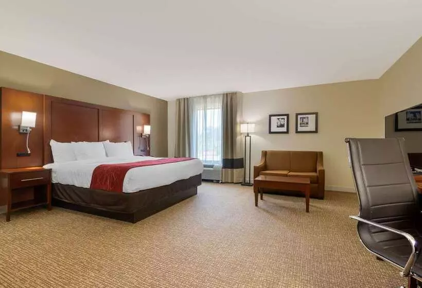 ホテル Comfort Inn & Suites Macon West