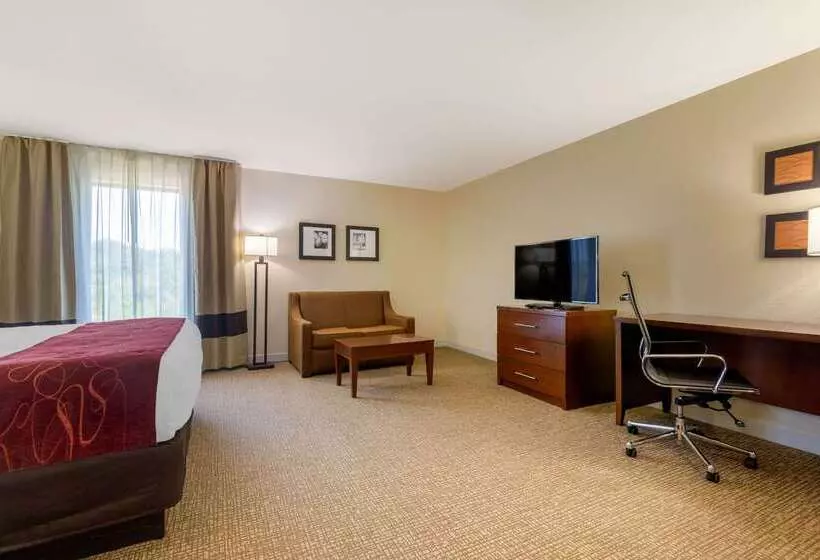 ホテル Comfort Inn & Suites Macon West