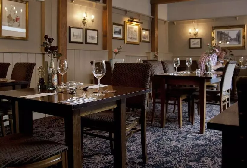 Отель The Dog & Bear