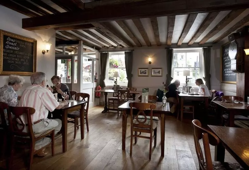 Отель The Dog & Bear