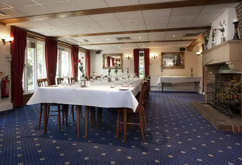 Отель The Dog & Bear