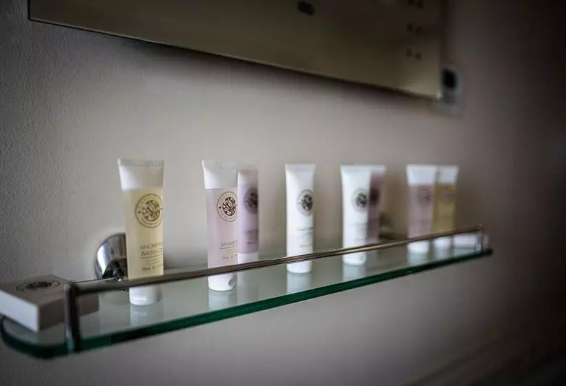 Отель The Dog & Bear