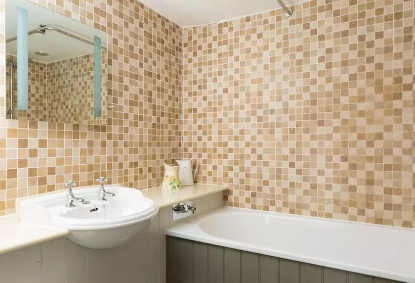 Отель The Dog & Bear