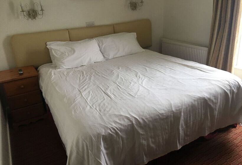 酒店 Winston Manor