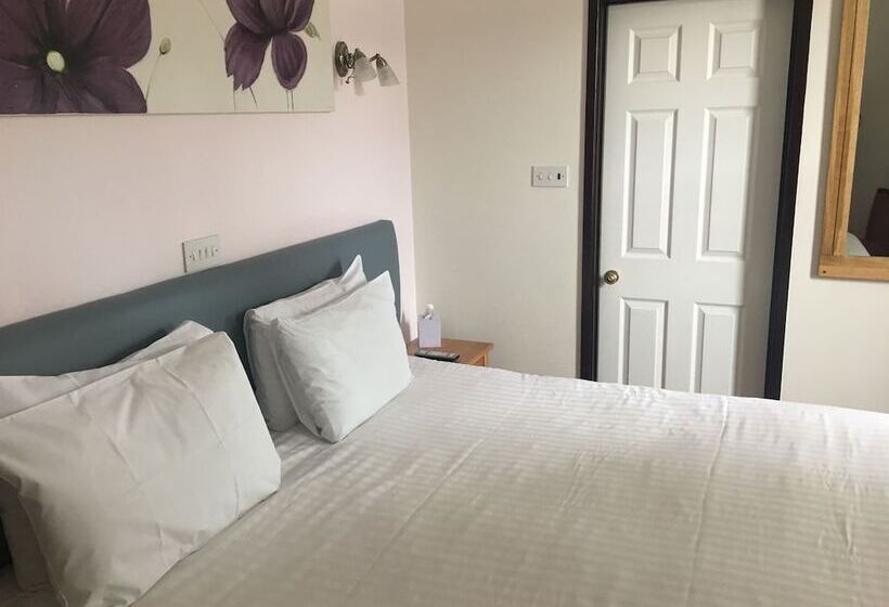 酒店 Winston Manor