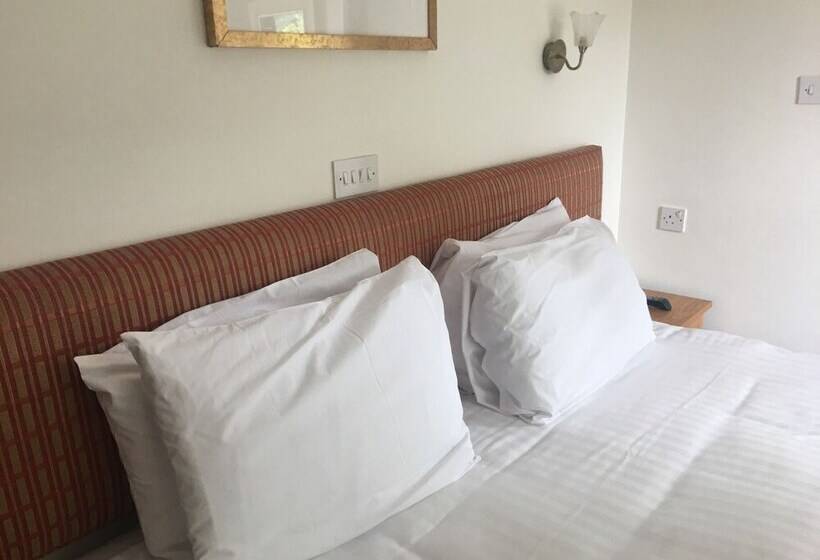 酒店 Winston Manor