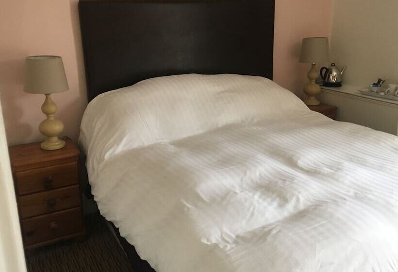 酒店 Winston Manor