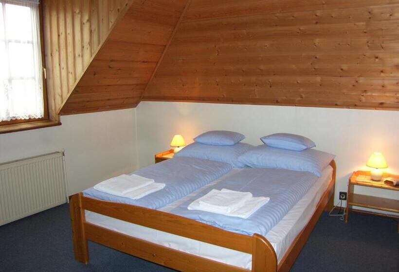 Отель Adler Panzio