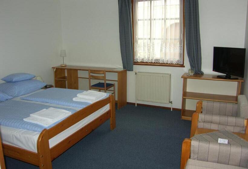 Отель Adler Panzio