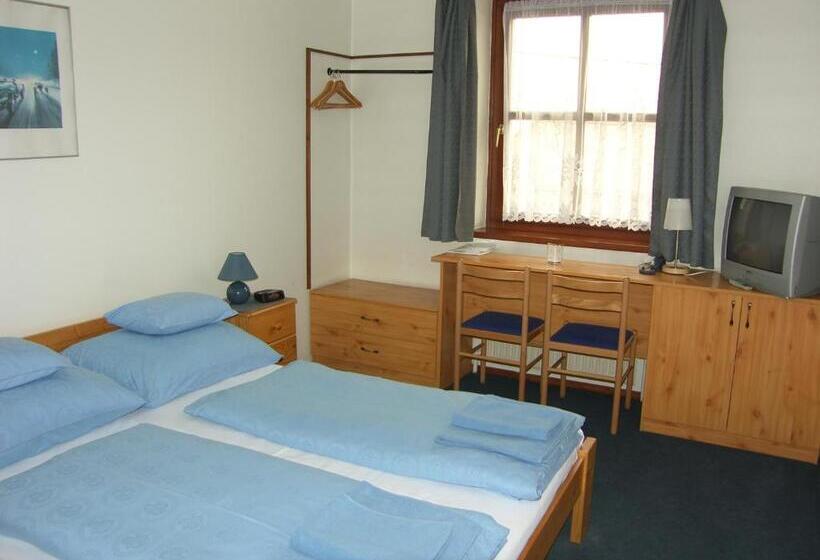 Отель Adler Panzio